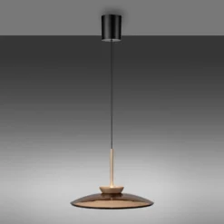 LED-Hängelampe PURE E-Moon bronce, Amberglas (dunkel), Ø50cm