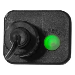 LED-Lichterkette Berry Mini mit Timerfunktion bunt