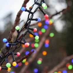 LED-Lichterkette Berry Mini mit Timerfunktion bunt