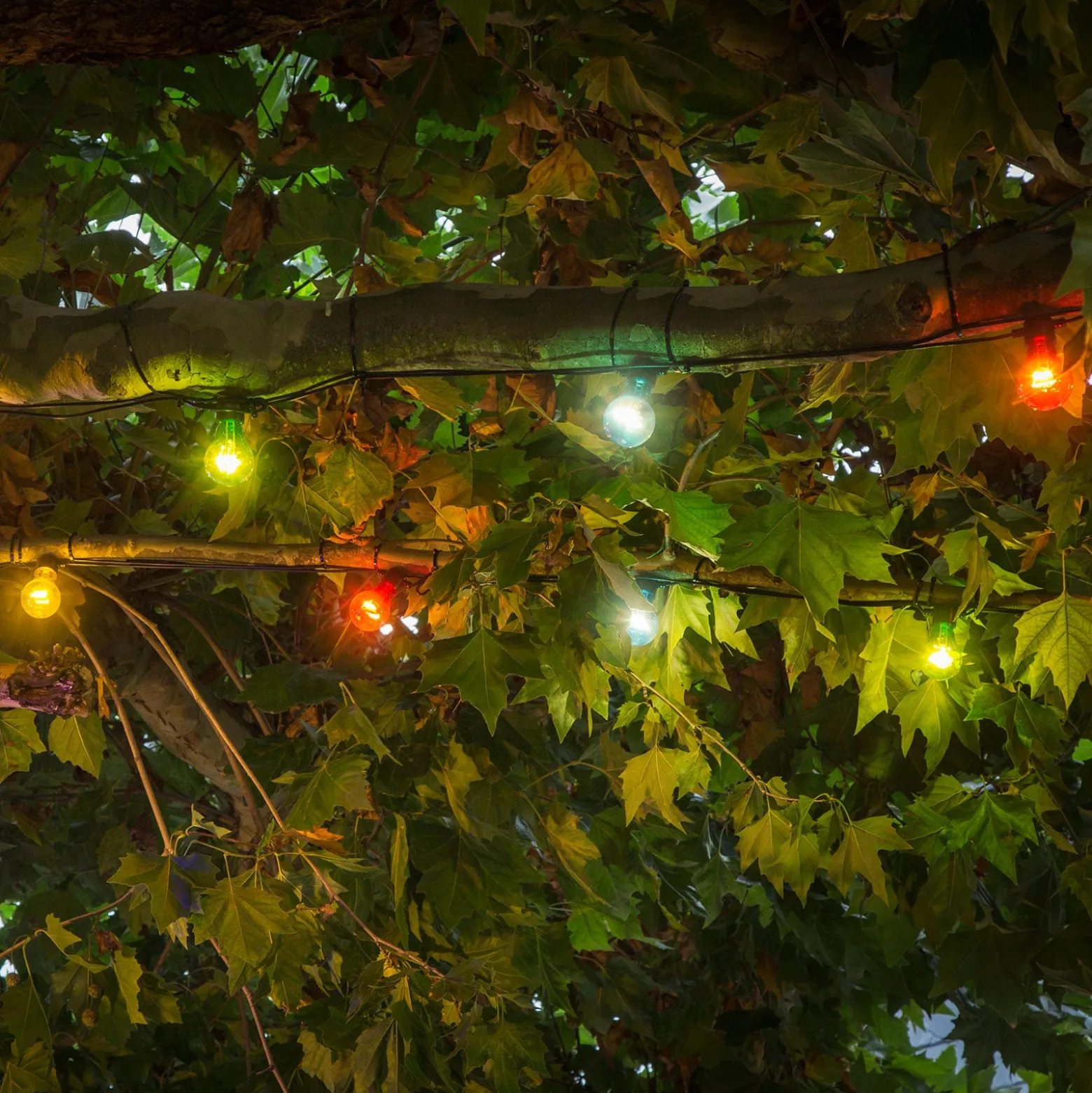 LED-Lichterkette Biergarten Erweiterung, bunt