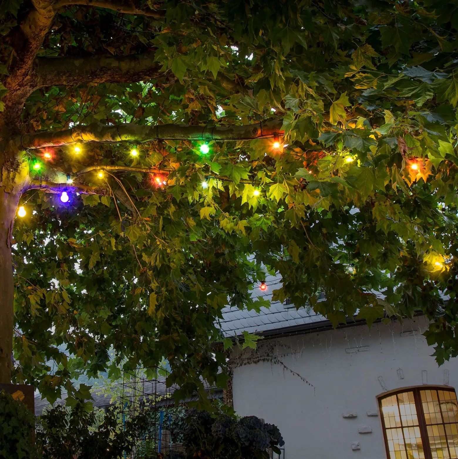 LED-Lichterkette Biergarten Erweiterung, bunt