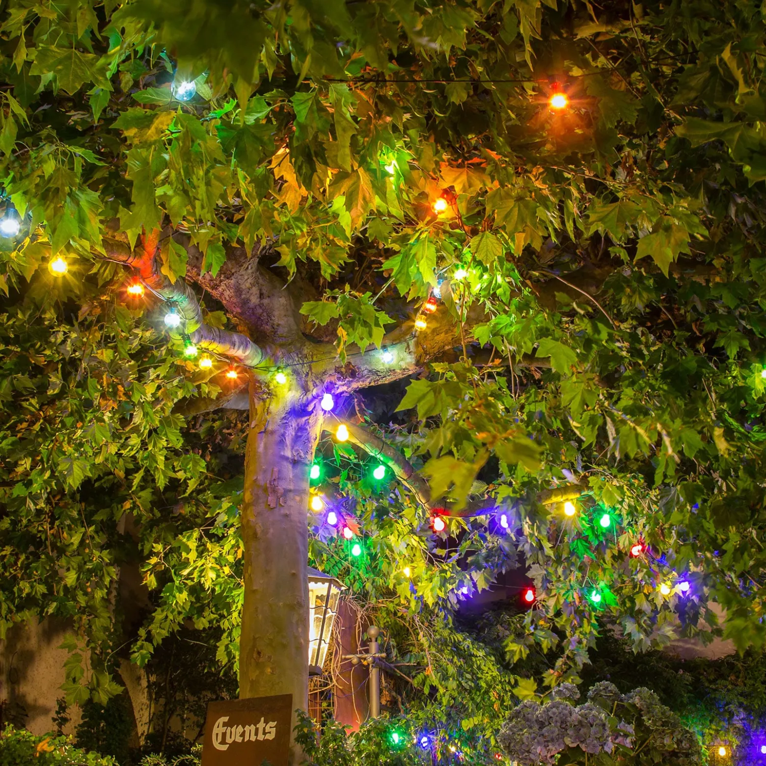 LED-Lichterkette Biergarten Erweiterung, bunt