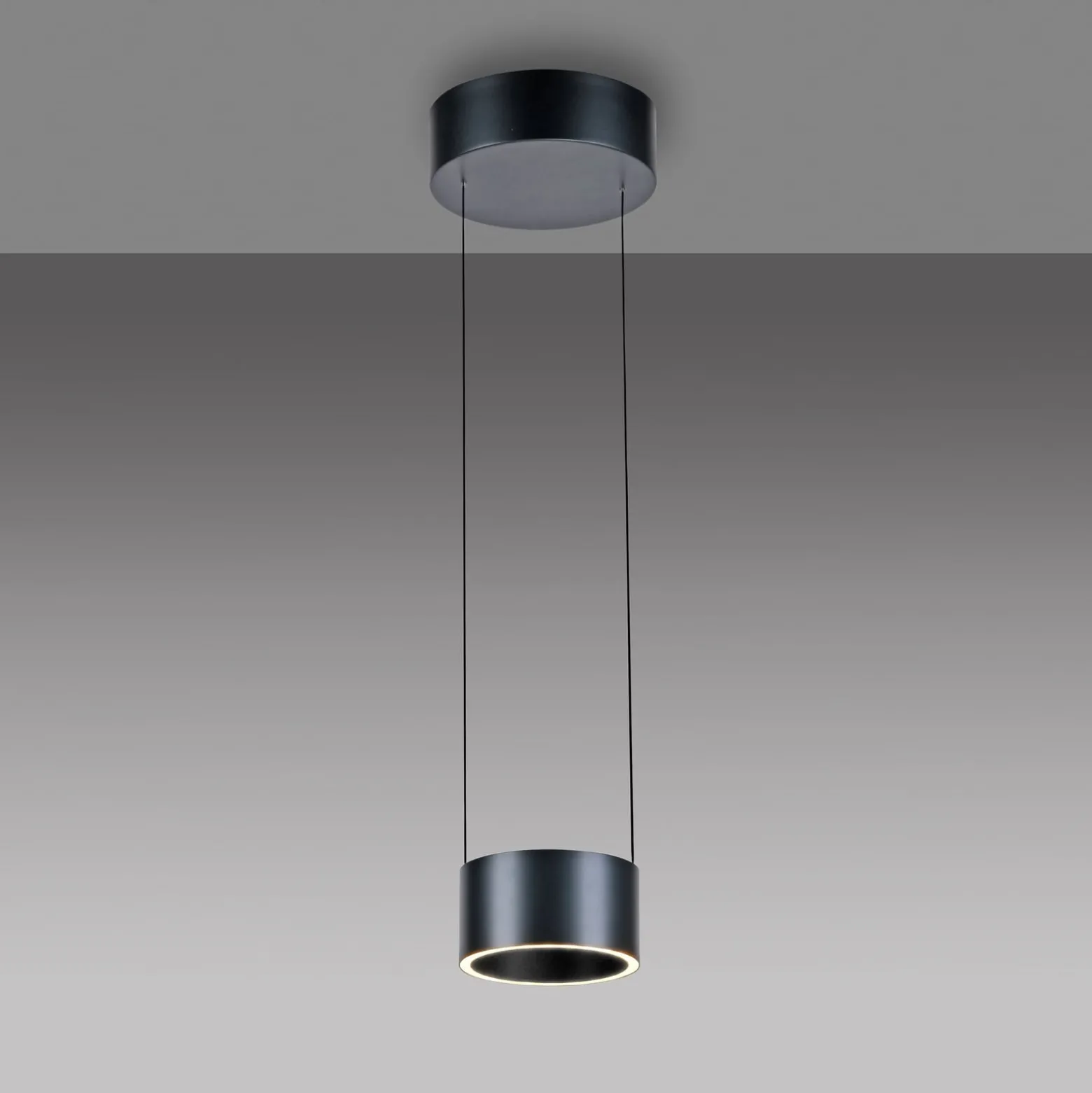 LED-Pendellampe PURE Clipse, grau, Ø 20 cm CCT Dimmer 2-flg