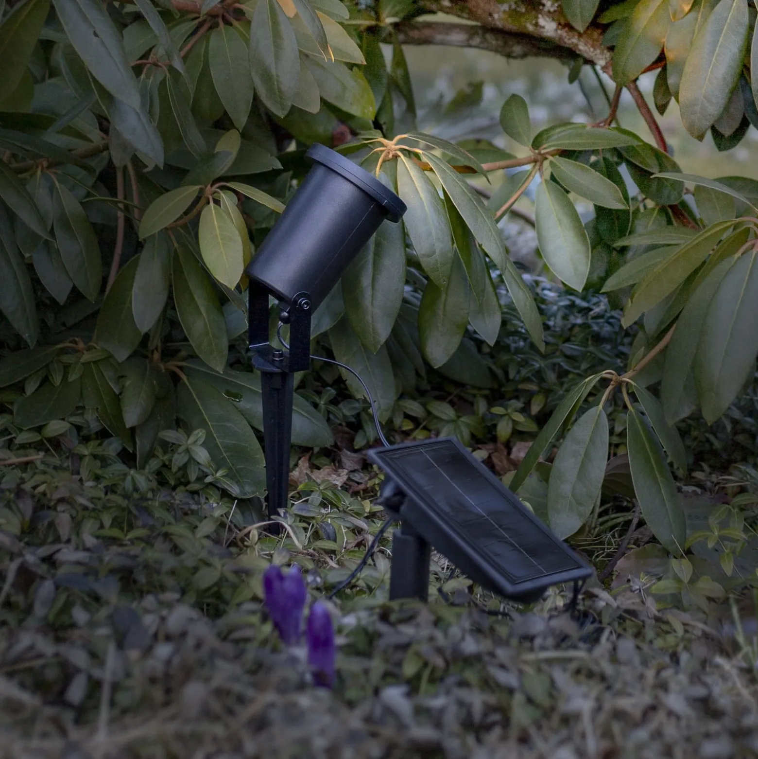 LED-Solar-Spot Powerspot 10cm 3000K, 50lm, schwarz, Erdspieß