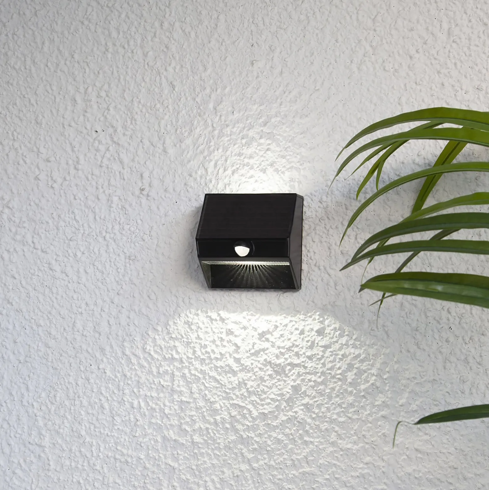 LED-Solarwandleuchte Wally mit Up- und Downlight