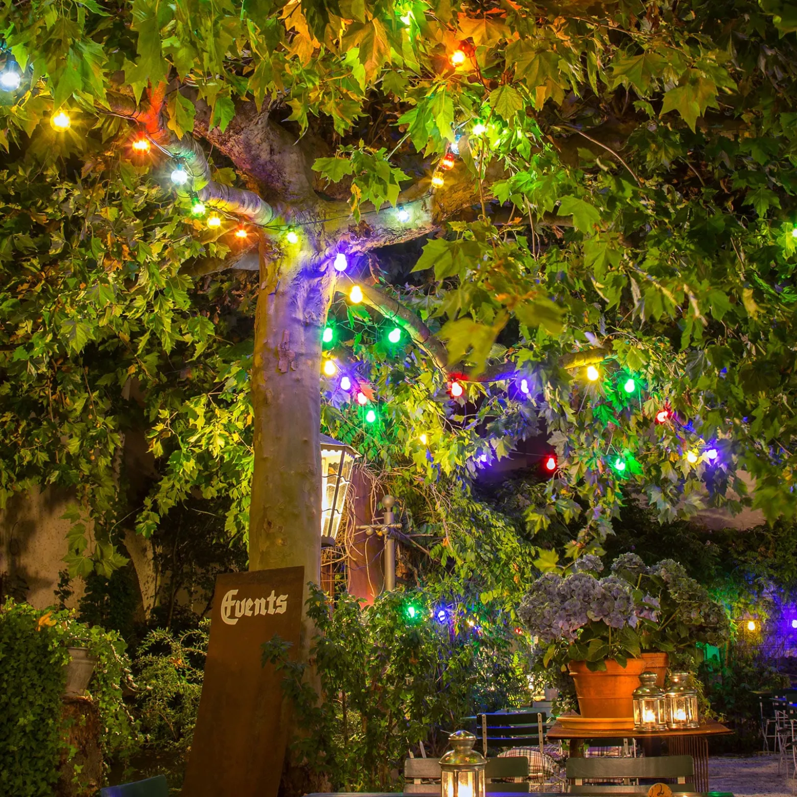 Lichterkette Biergarten 20 bunte LED-Birnen