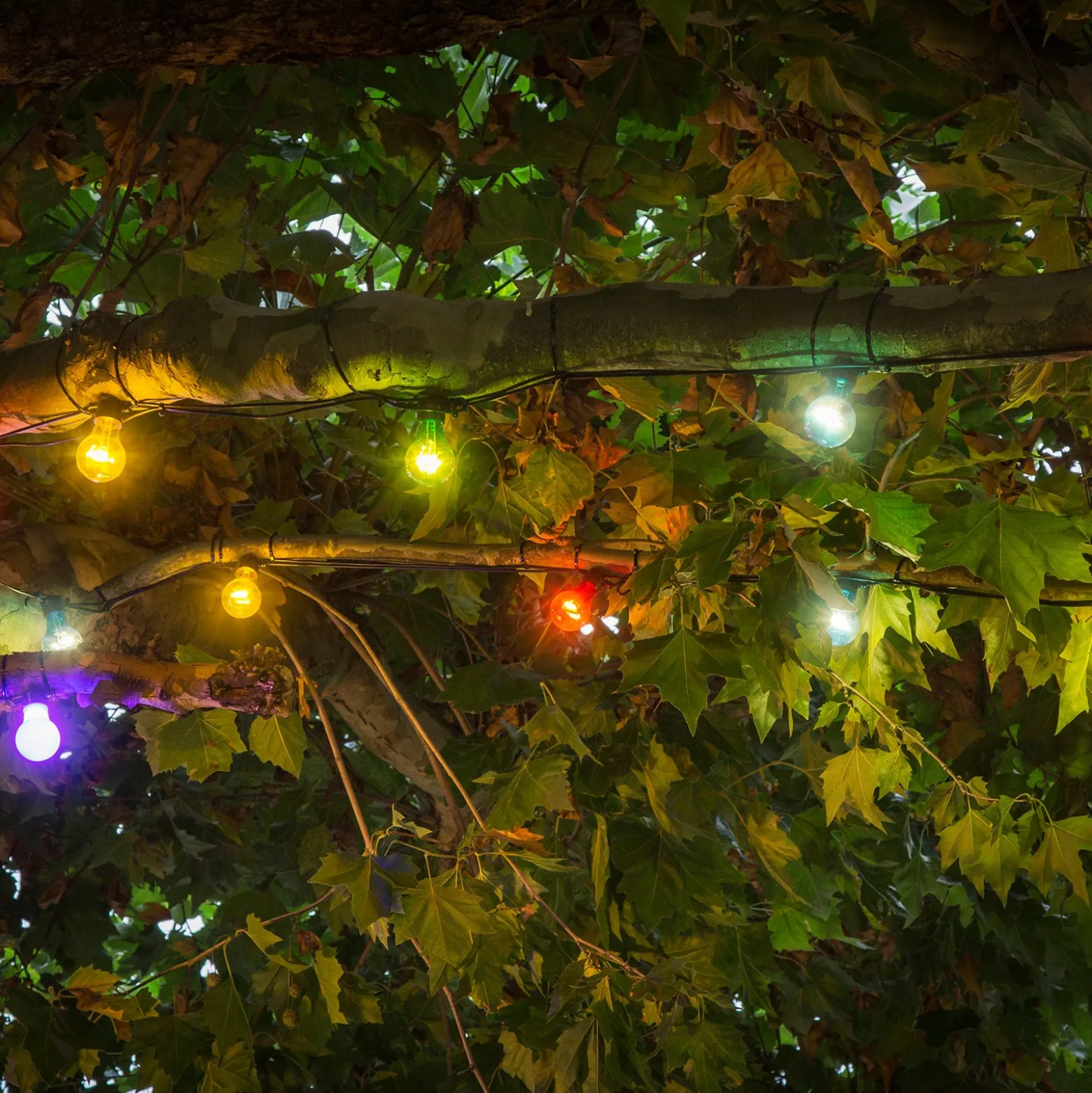 Lichterkette Biergarten 20 bunte LED-Birnen