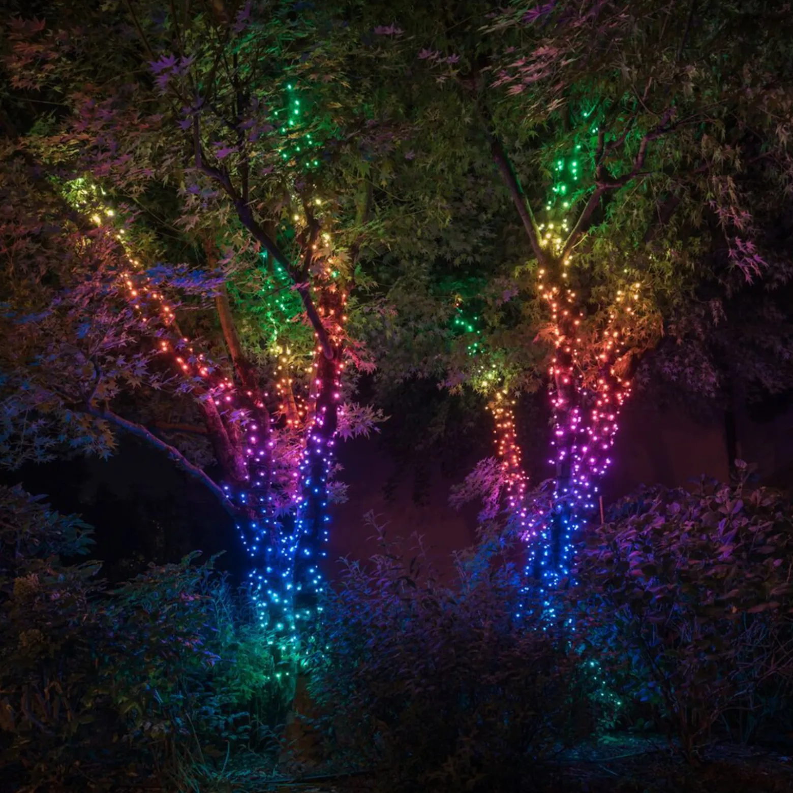 Lichterkette Twinkly RGB, schwarz, 250-flammig 20m