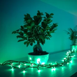 Lichterkette Twinkly RGB, schwarz, 250-flammig 20m