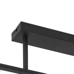 Lindby Deckenlampe Biscala, 5-flg., schwarz/rauch, E14