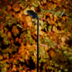 Luceplan LED-Wegelampe Flia, 180cm hoch, schwarz, Kunststoff