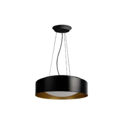 MEGAMAN LED-Hängelampe Renzo XChange schwarz/gold CCT, IP44