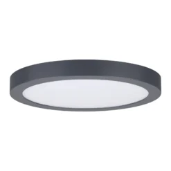 Paulmann Abia LED-Panel Ø 30cm 2.700K dunkelgrau