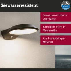 Paulmann Anela LED-Sensor-Außenwandleuchte 3.000 K