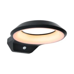Paulmann Anela LED-Sensor-Außenwandleuchte 2.200 K