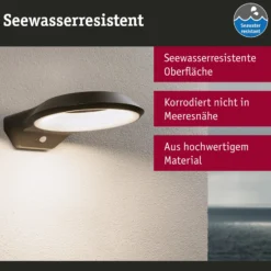 Paulmann Anela LED-Sensor-Außenwandleuchte 2.200 K