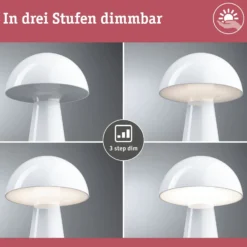 Paulmann LED-Akku-Tischleuchte Onzo, weiß, Kunststoff, IP44