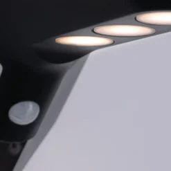 Paulmann LED-Solar-Außenwandlampe Soley anthrazit