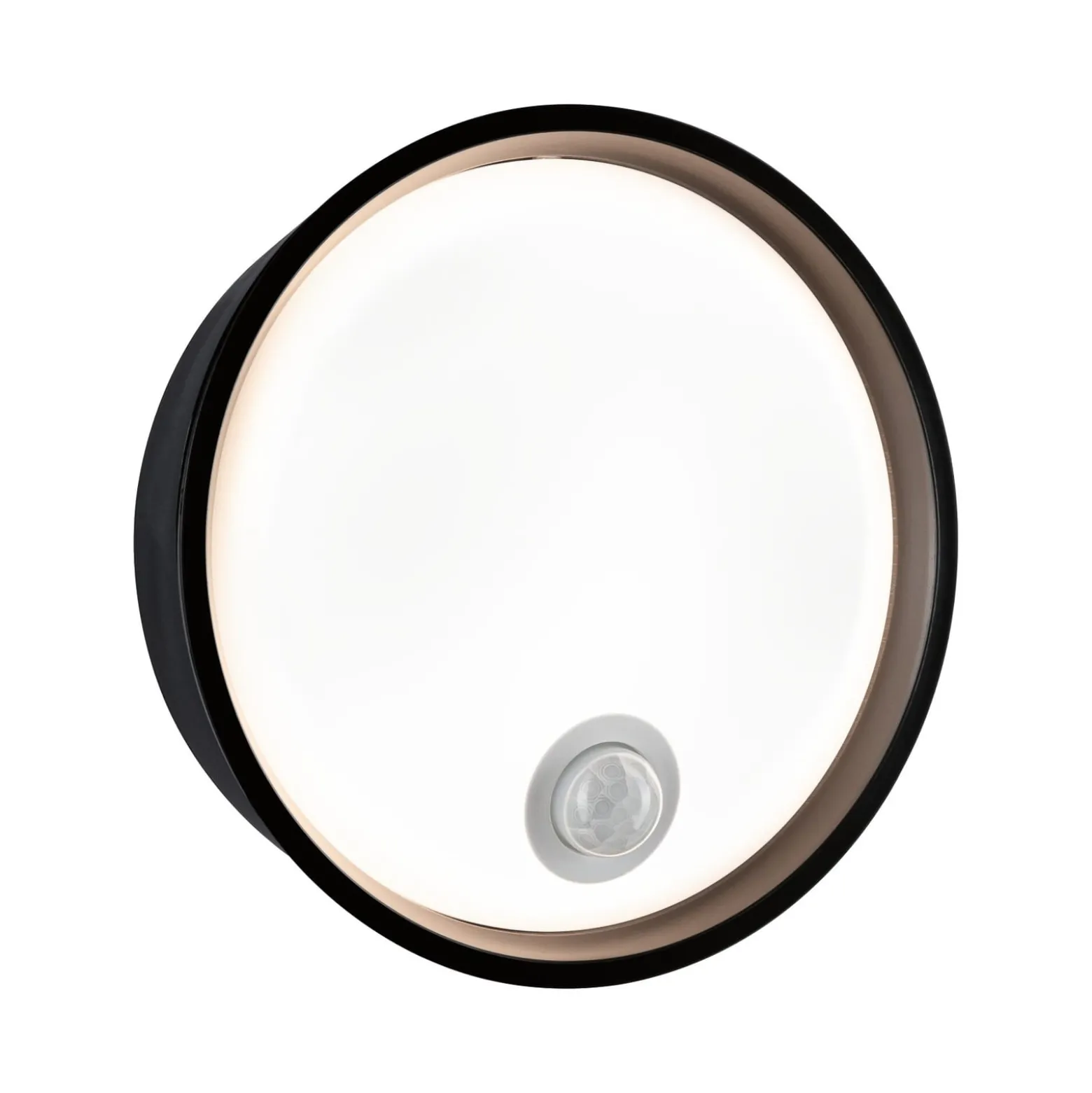 Paulmann Platomo LED-Außenwandlampe Sensor schwarz