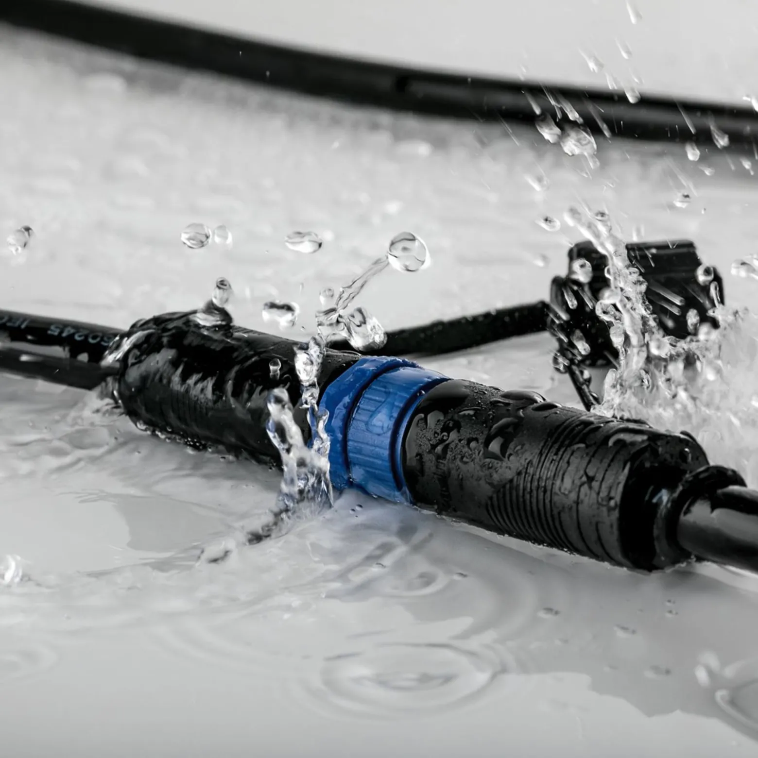Paulmann Plug & Shine Sting 3000K 3er-Erweiterung