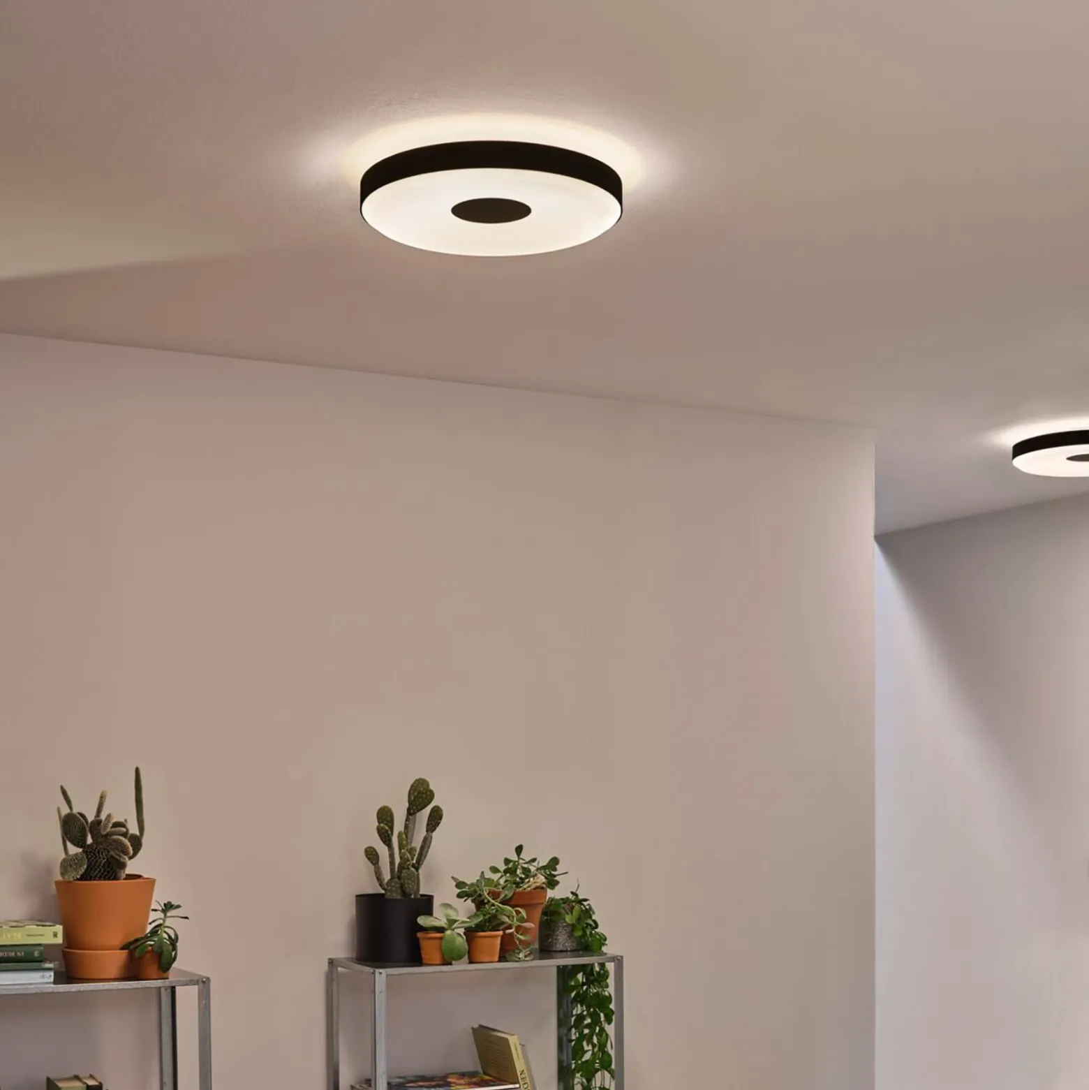Paulmann Puric Pane II LED-Deckenlampe in Schwarz