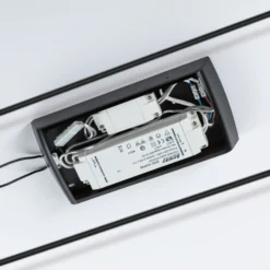 Paulmann 3-Step-Dimmer für CorDuo Seilsystem, weiß