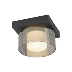 Paul Neuhaus LED-Deckenlampe Rika, Ø 15 cm, Glas, dimmbar