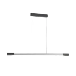 Paul Neuhaus LED-Hängelampe Hoop, alufarben, 128 cm, dimmbar