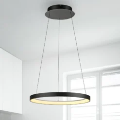 Paul Neuhaus LED-Hängelampe Hoop, schwarz, Ø 57 cm, dimmbar