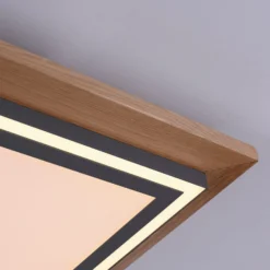 Paul Neuhaus Palma LED-Deckenlampe CCT lang