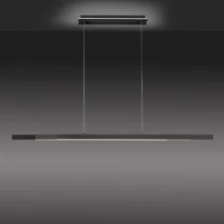 Paul Neuhaus Q-ARIAN LED-Pendelleuchte, anthrazit