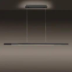 Paul Neuhaus Q-ARIAN LED-Pendelleuchte, anthrazit