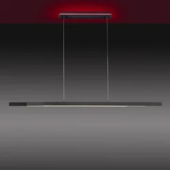 Paul Neuhaus Q-ARIAN LED-Pendelleuchte, anthrazit