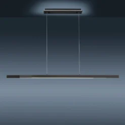 Paul Neuhaus Q-ARIAN LED-Pendelleuchte, anthrazit