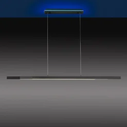 Paul Neuhaus Q-ARIAN LED-Pendelleuchte, anthrazit