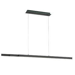 Paul Neuhaus Q-ARIAN LED-Pendelleuchte, anthrazit