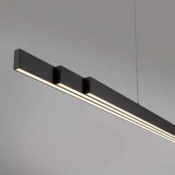 Paul Neuhaus Q-ARIAN LED-Pendelleuchte, anthrazit