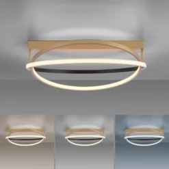 Paul Neuhaus Q-Beluga LED-Deckenleuchte, messing