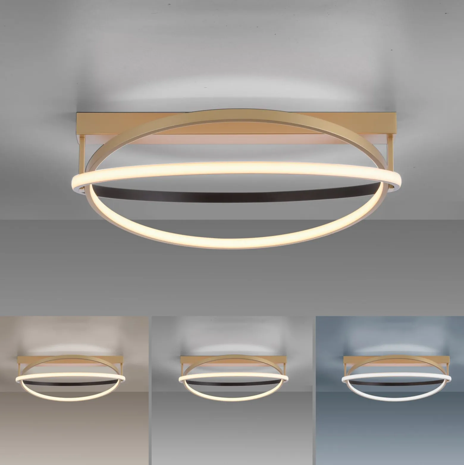 Paul Neuhaus Q-Beluga LED-Deckenleuchte, messing