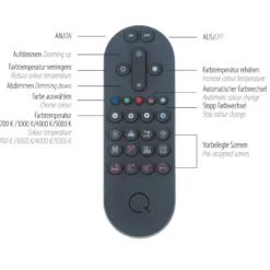 Paul Neuhaus Q-Beluga LED-Hängeleuchte, messing