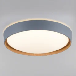 Paul Neuhaus Q-EMILIA LED-Deckenleuchte, grau/holz