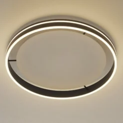 Paul Neuhaus Q-VITO LED-Deckenlampe 59cm anthrazit