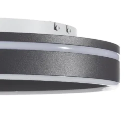 Paul Neuhaus Q-VITO LED-Deckenlampe 40cm anthrazit