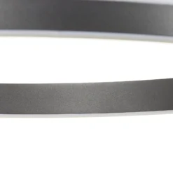 Paul Neuhaus Q-VITO LED-Hängelampe 59cm anthrazit