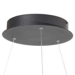Paul Neuhaus Q-VITO LED-Hängelampe 59cm anthrazit