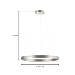 Paul Neuhaus Q-VITO LED-Hängelampe 79cm stahl