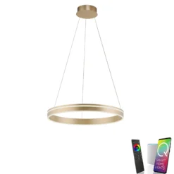 Paul Neuhaus Q-VITO LED-Pendelleuchte,1 Ring