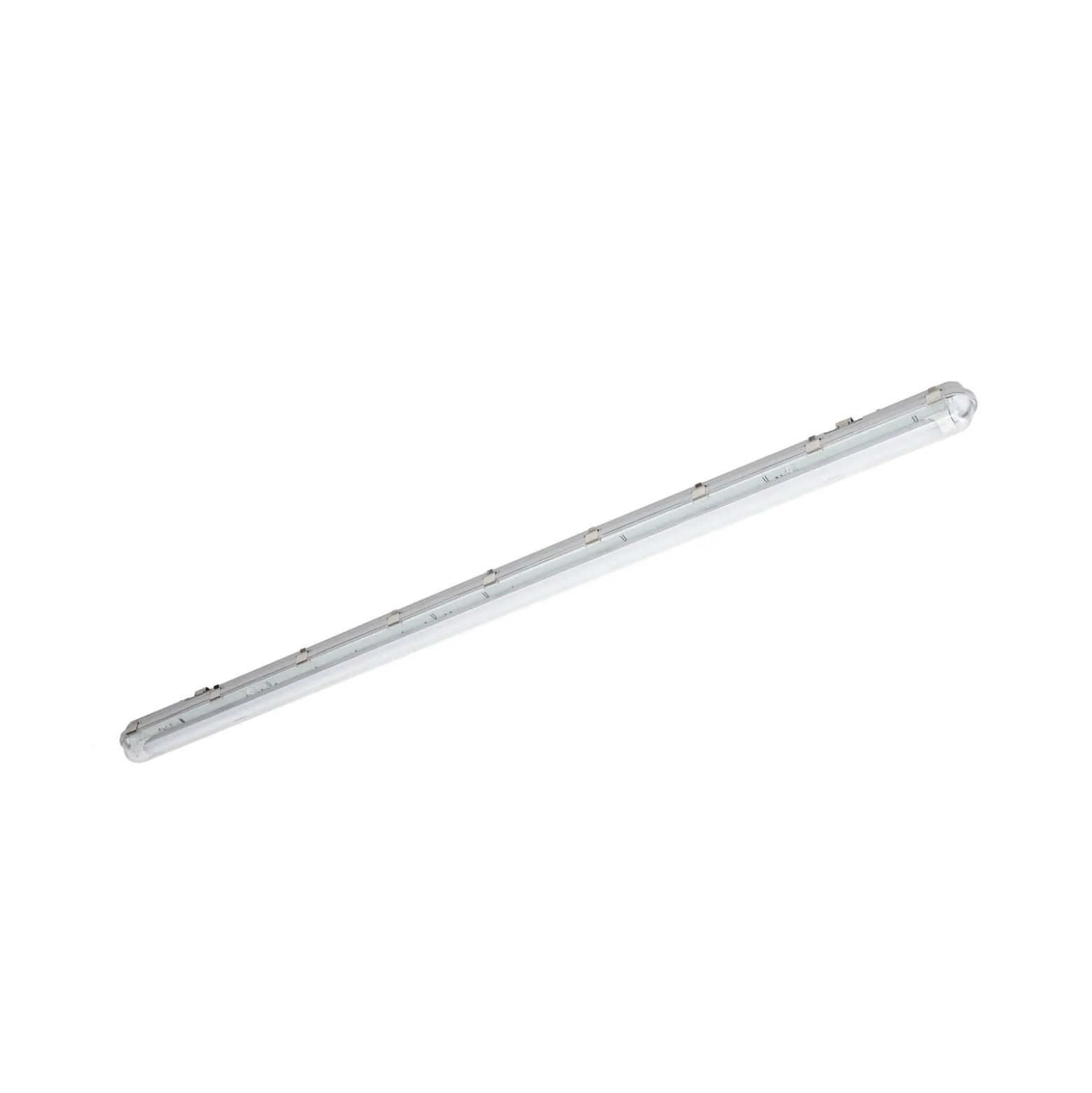 Prios Feuchtraumleuchte Lior, 157 cm, 1 x T8, G13, IP65, 18W