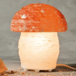 Salzleuchte Pilz
