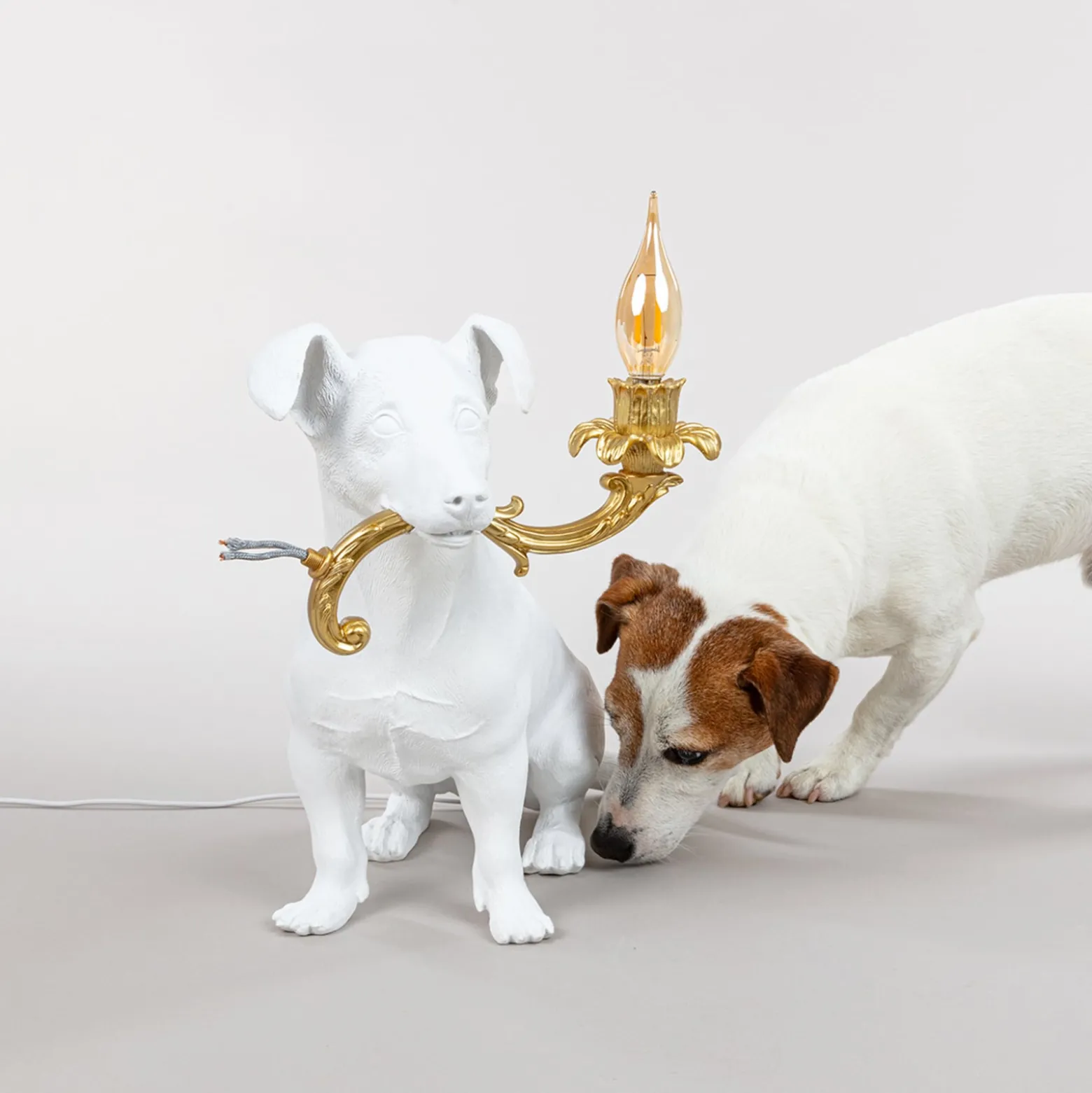 SELETTI Rio LED-Deko-Tischleuchte, Hund in Weiß
